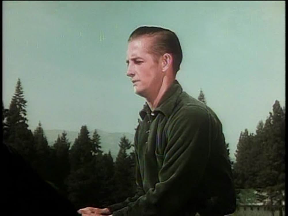 レッド・スタリオン／荒原の凱歌の画像