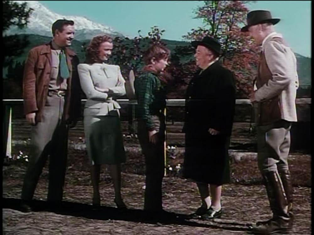 レッド・スタリオン／荒原の凱歌の画像