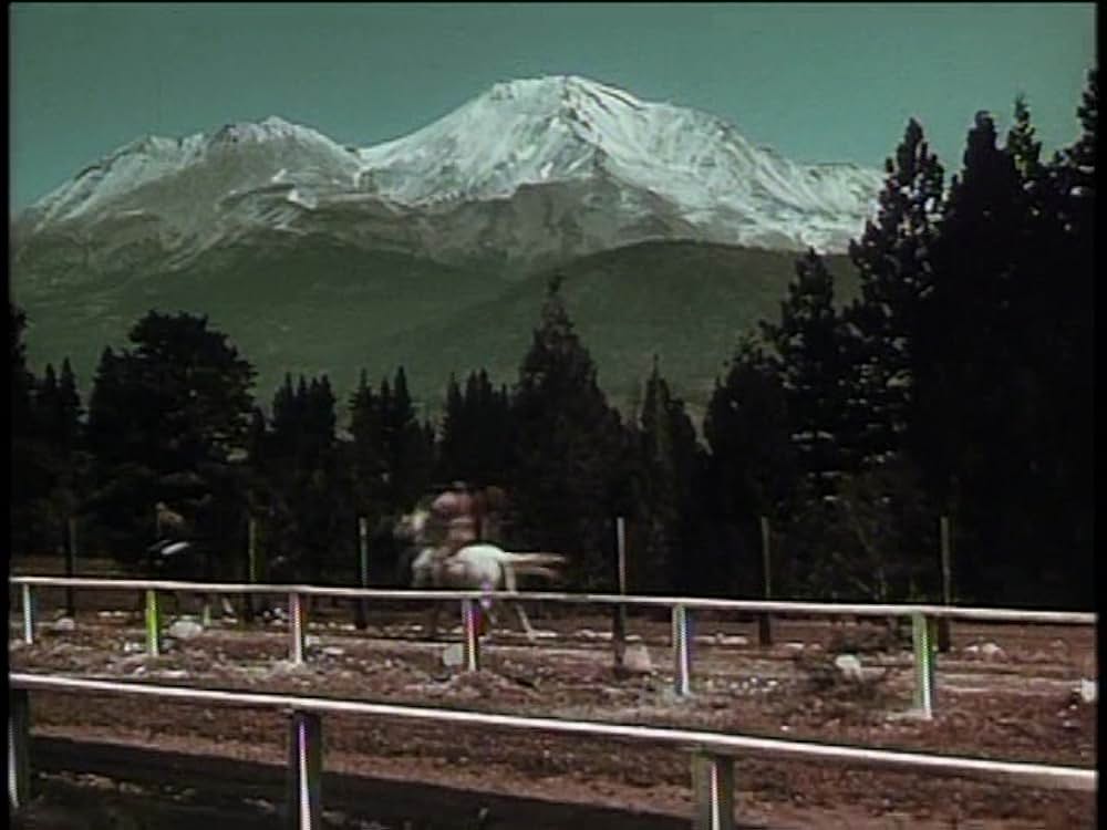 レッド・スタリオン／荒原の凱歌の画像