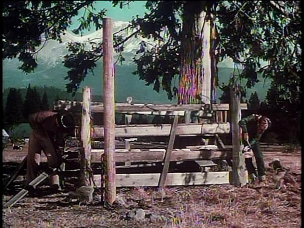 レッド・スタリオン／荒原の凱歌の画像