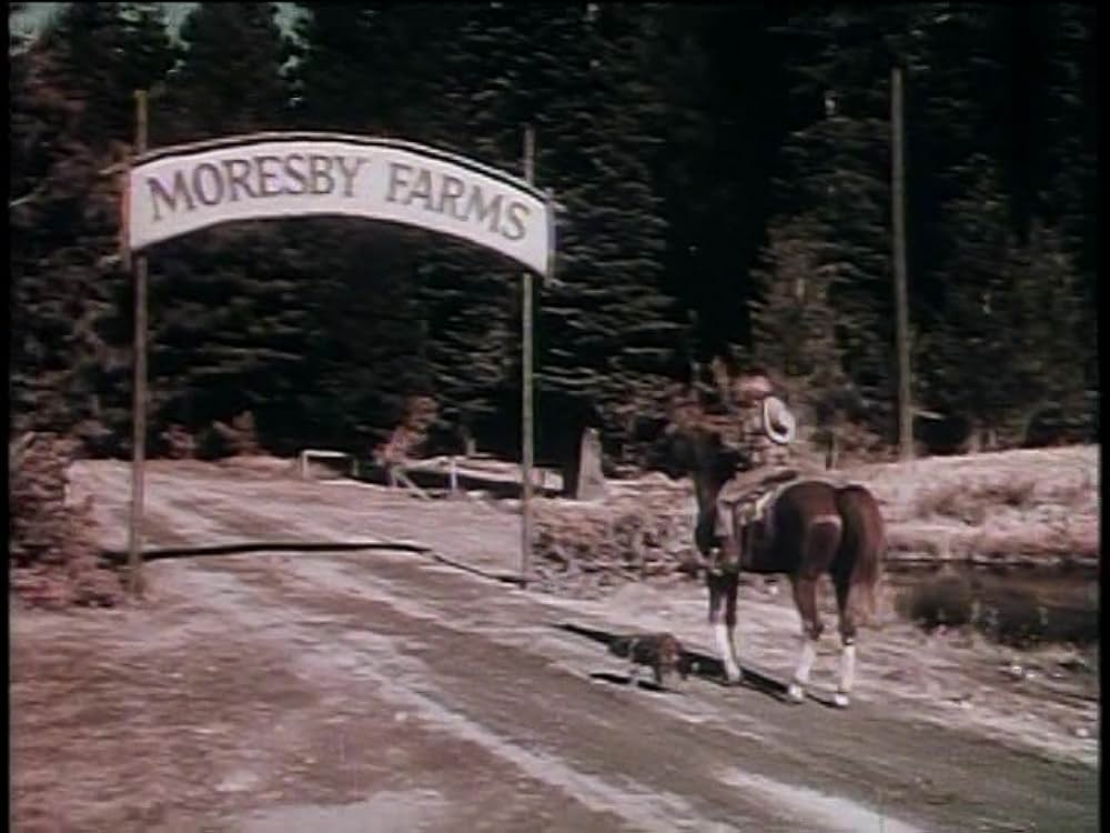 レッド・スタリオン／荒原の凱歌の画像