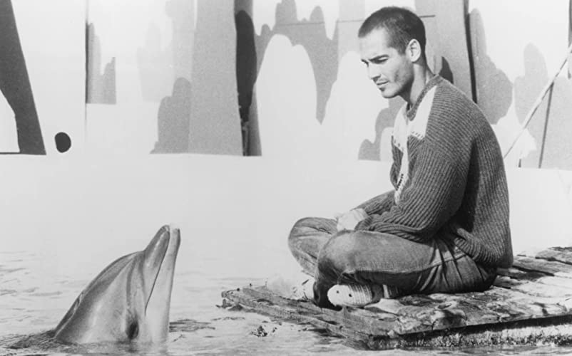 グレート・ブルーの画像