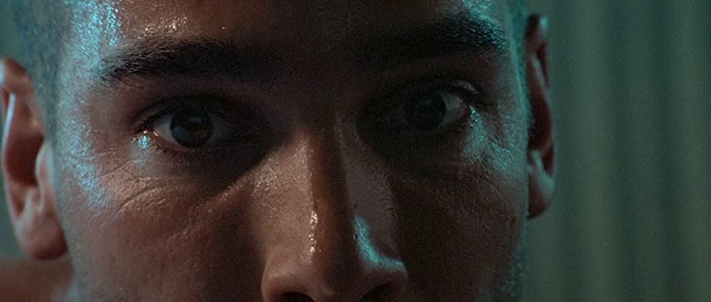 グレート・ブルーの画像