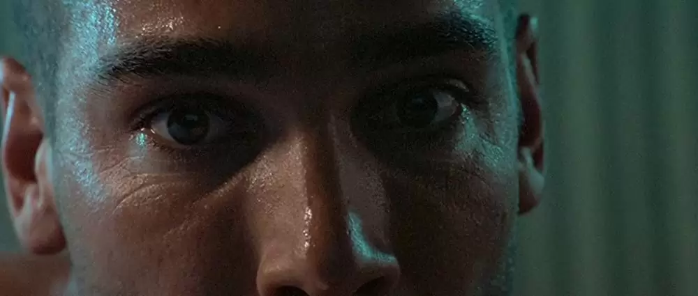 グレート・ブルーの画像