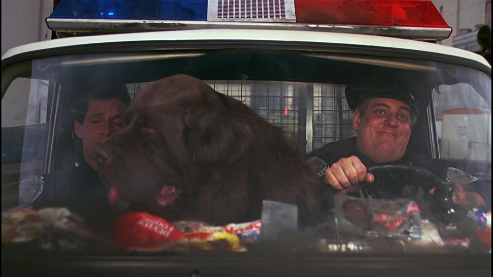 ポリスアカデミー2／全員出動！の画像