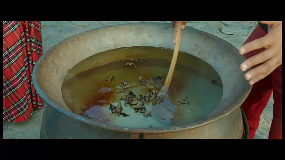 アステリックスの冒険 秘薬を守る戦いの画像