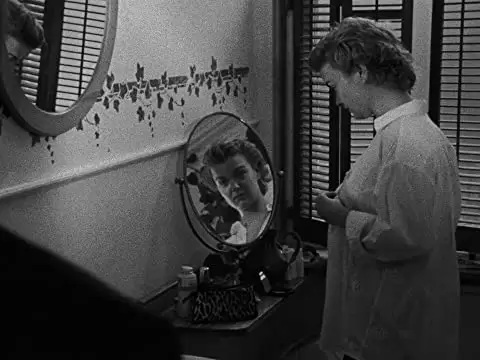 フォロウィングの画像