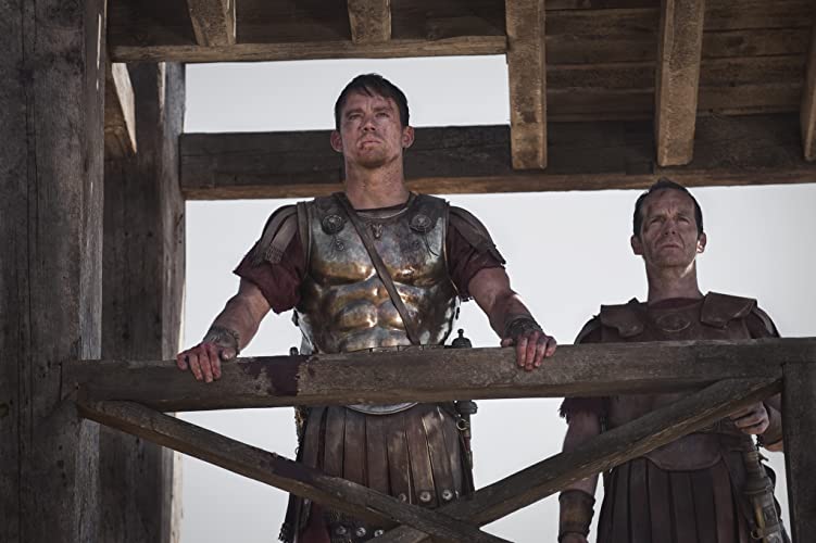 第九軍団のワシの画像