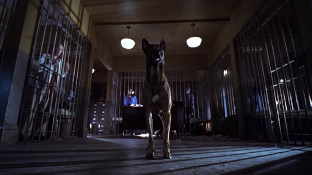 スティーヴン・キングのデスペレーションの画像