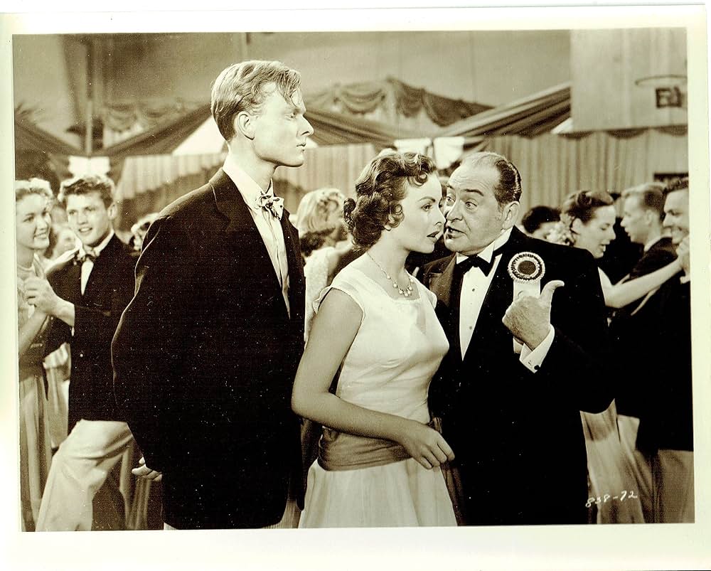 続 一ダースなら安くなるの画像