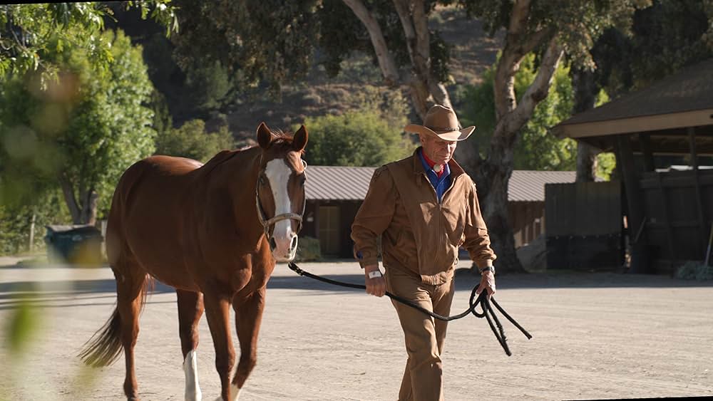 The Cowboy and the Queen（原題）の画像