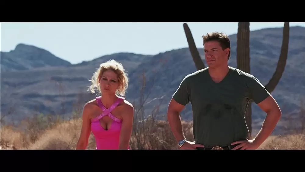 「ルーニー・テューンズ:バック・イン・アクション」の画像