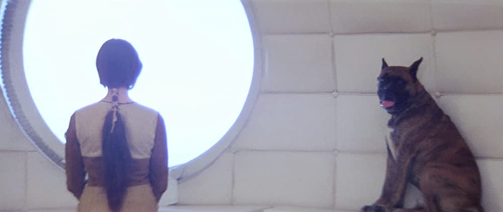 惑星ソラリスの画像