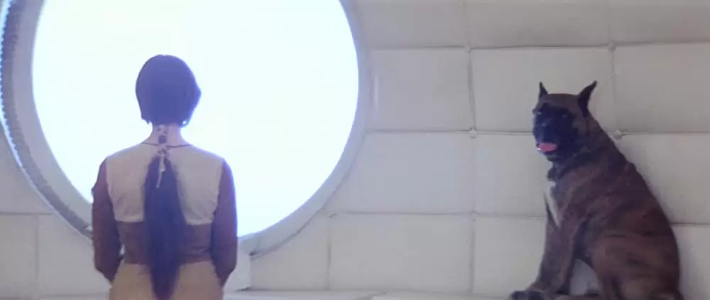 惑星ソラリスの画像