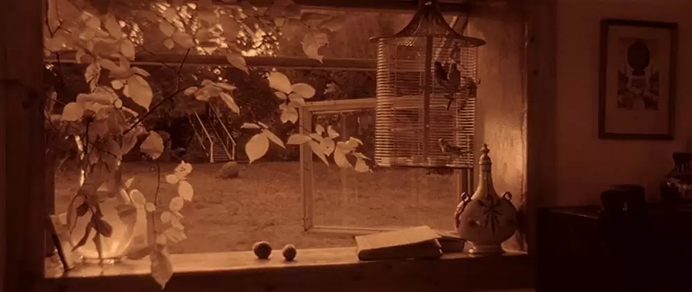 惑星ソラリスの画像