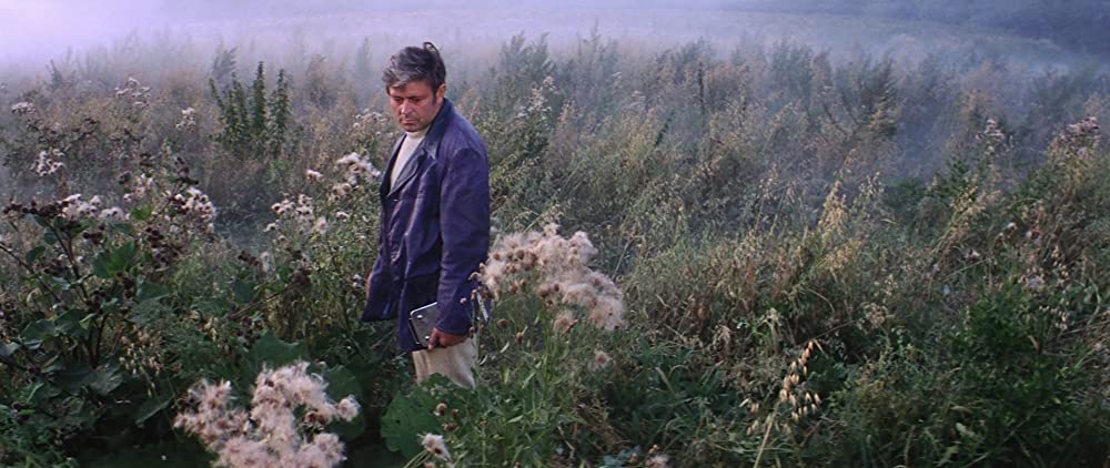 惑星ソラリスの画像