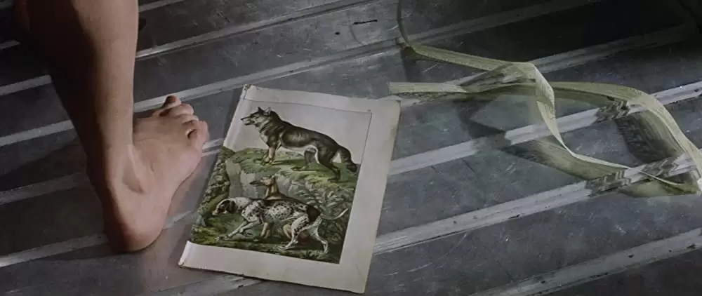 惑星ソラリスの画像