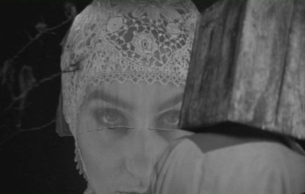 Boro in the Box（原題）の写真