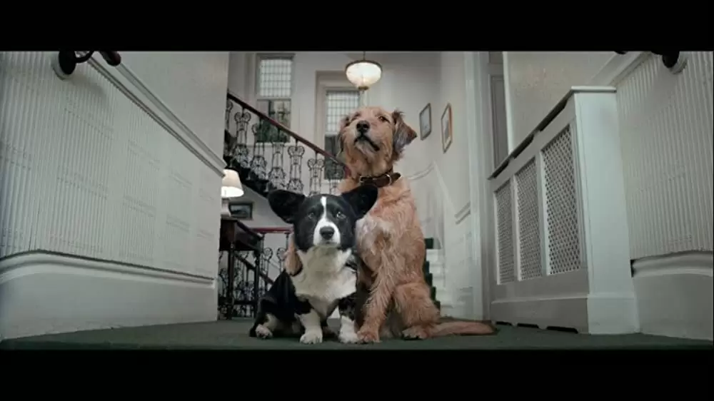 「ミラクル・ニール！」ロビン・ウィリアムズの画像