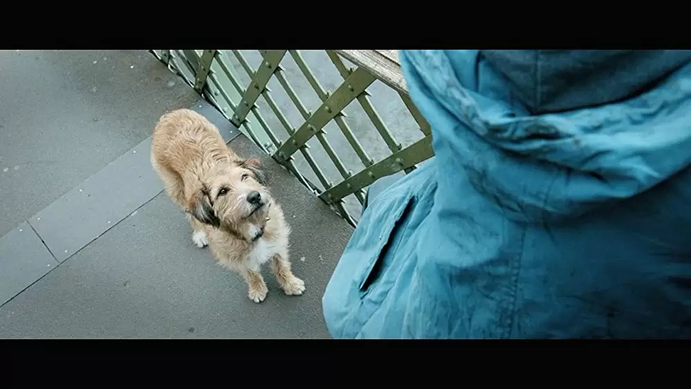 「ミラクル・ニール！」ロビン・ウィリアムズの画像