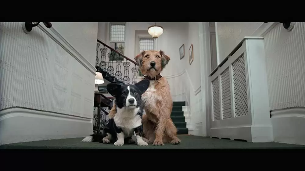 「ミラクル・ニール！」ロビン・ウィリアムズの画像