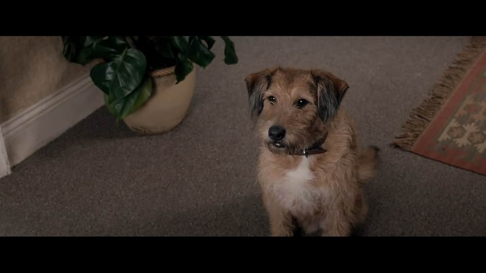 ミラクル・ニール！の画像