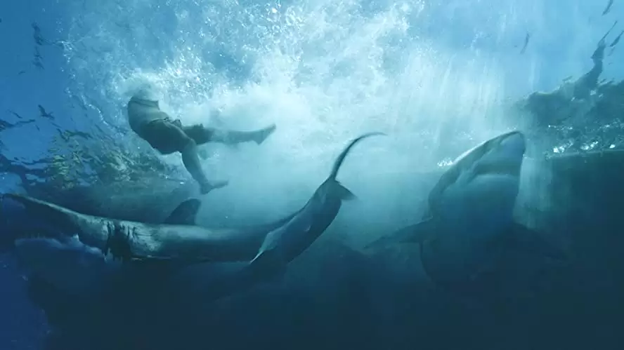 コン・ティキの画像