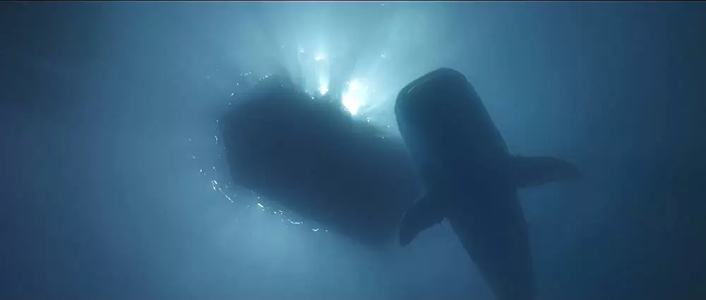 コン・ティキの画像