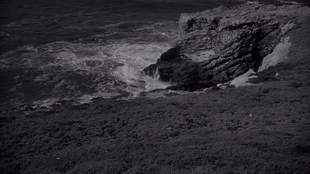 The Monster of Piedras Blancas（原題）の画像