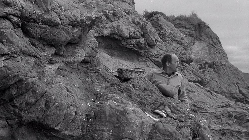 The Monster of Piedras Blancas（原題）の画像