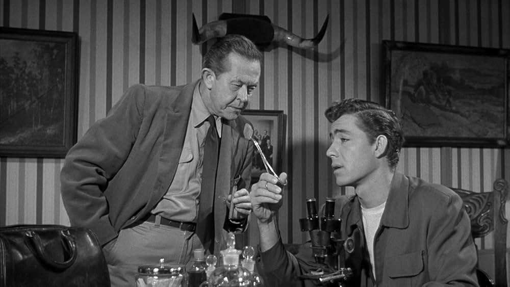 The Monster of Piedras Blancas（原題）の画像