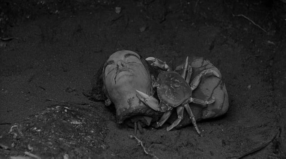 The Monster of Piedras Blancas（原題）の画像