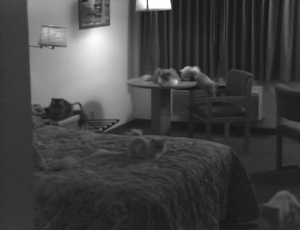 Computer Chess（原題）の画像