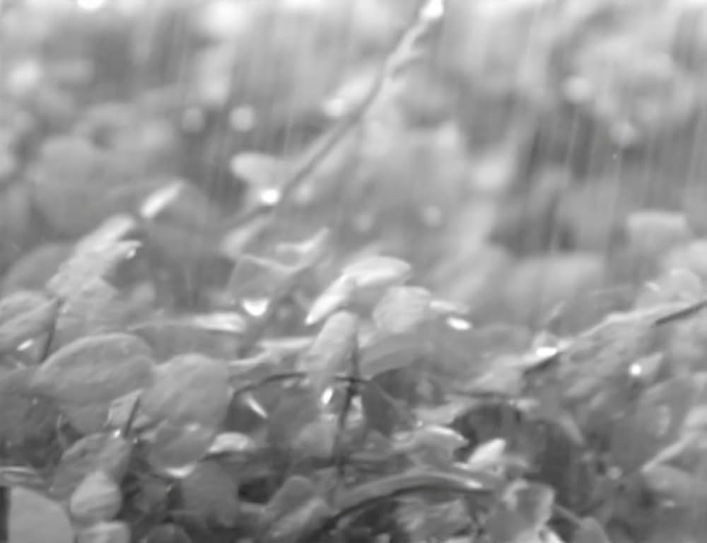 Computer Chess（原題）の画像