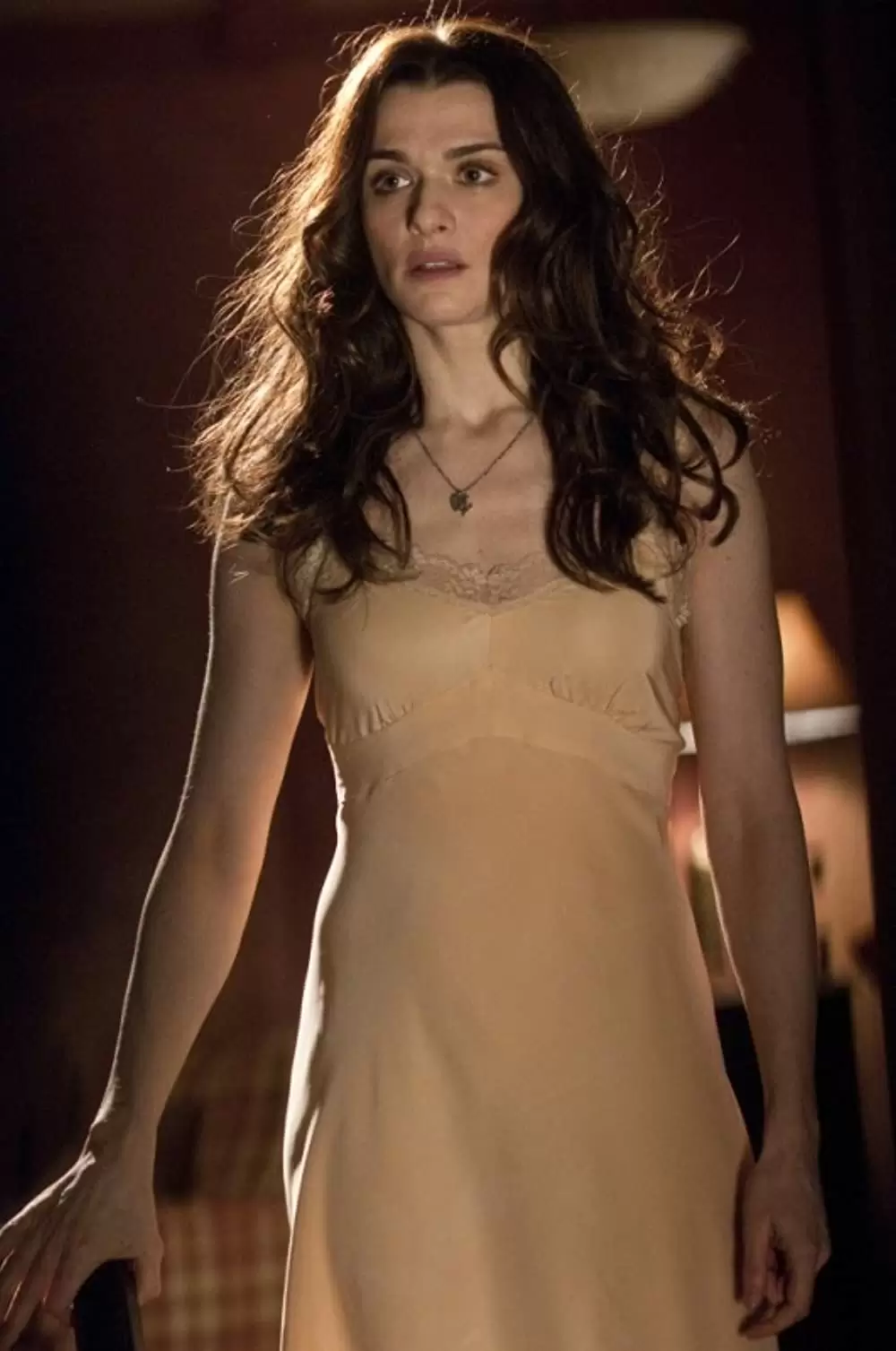 ドリームハウスの画像