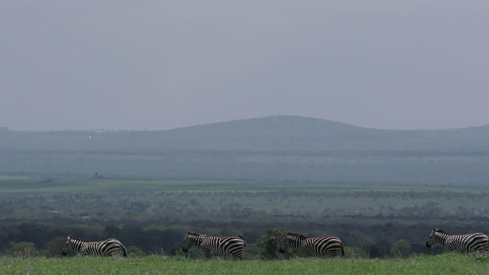 The Battle for Laikipia（原題）の写真