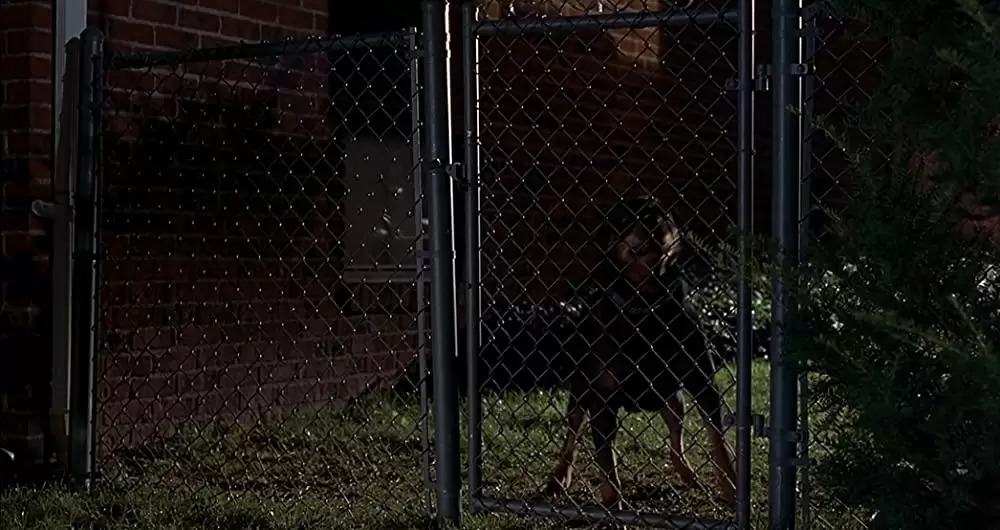 コップランドの画像