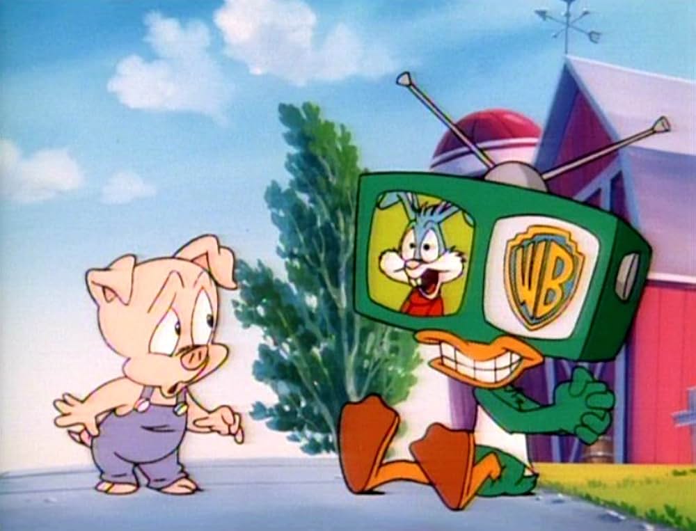 Tiny Toon Adventures: How I Spent My Vacation（原題）の画像