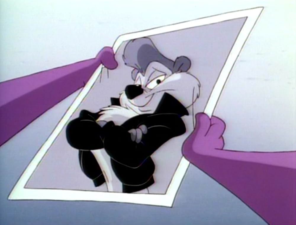 Tiny Toon Adventures: How I Spent My Vacation（原題）の画像