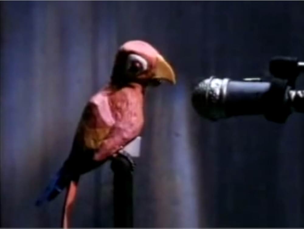 アーリー・バードの写真