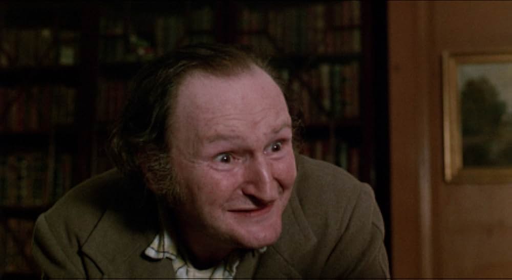 They Might Be Giants（原題）の画像