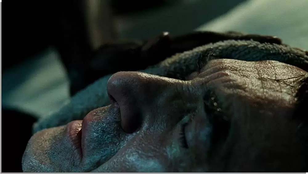 最強のふたりの画像