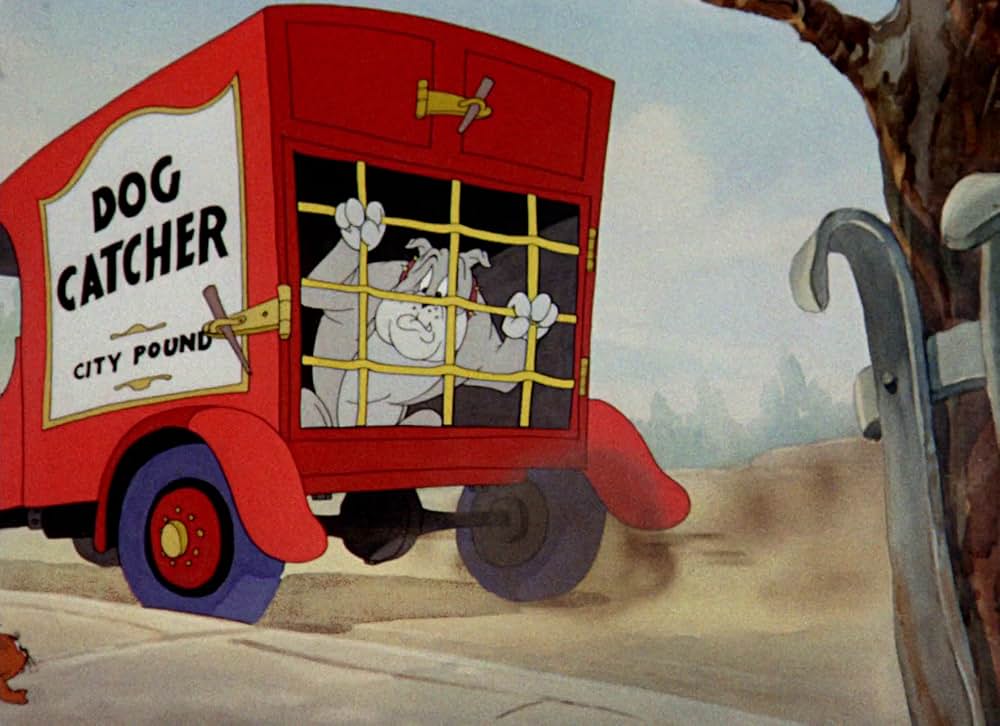 命の恩人の画像