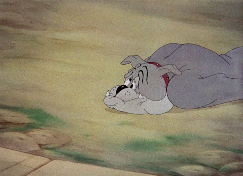 命の恩人の画像