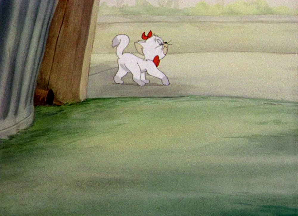 命の恩人の画像