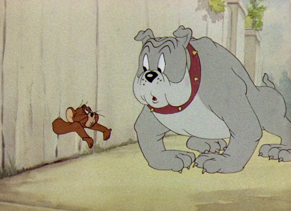 命の恩人の画像