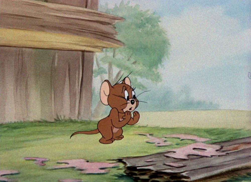 命の恩人の画像