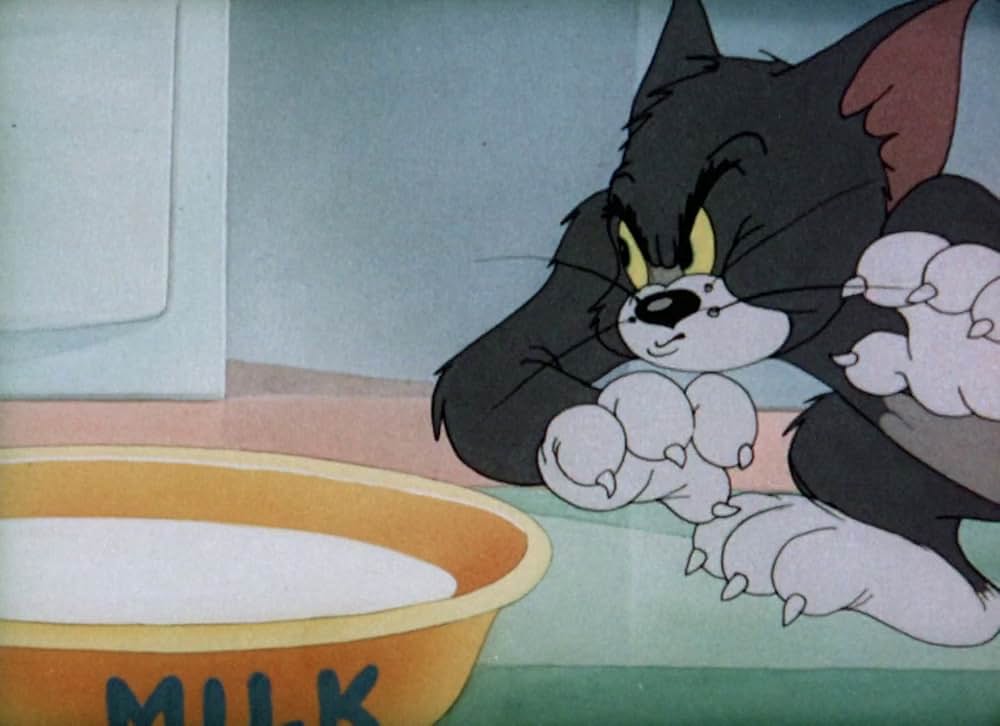 捨てネズミの画像