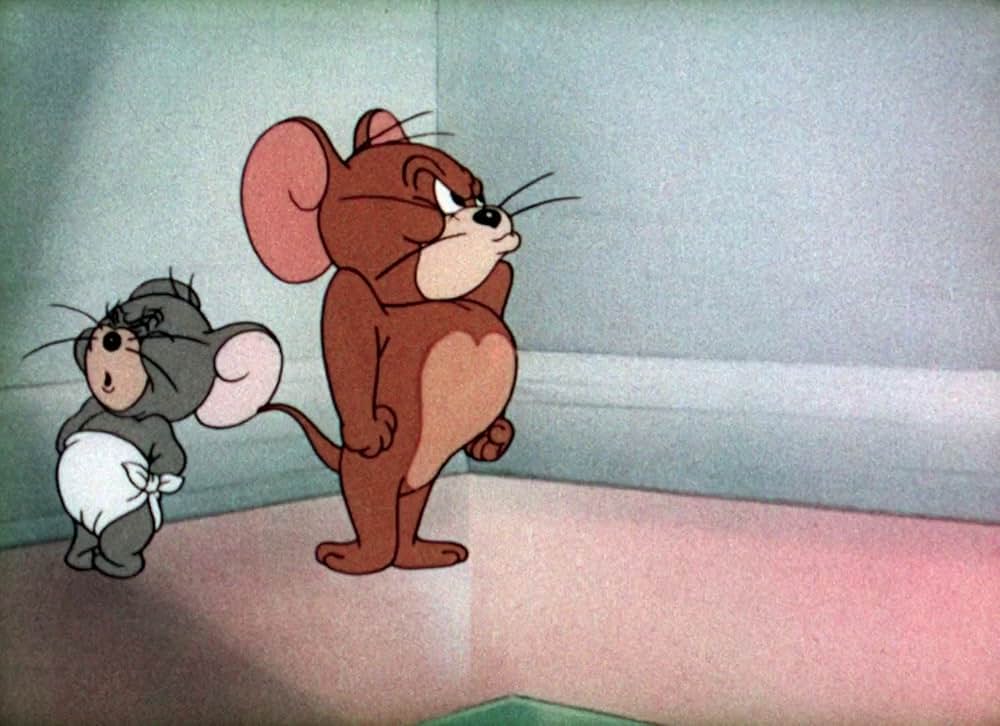 捨てネズミの画像