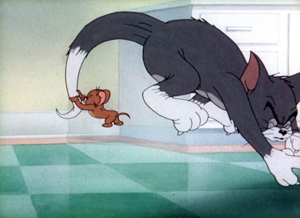 捨てネズミの画像